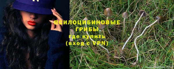 мескалин Краснослободск