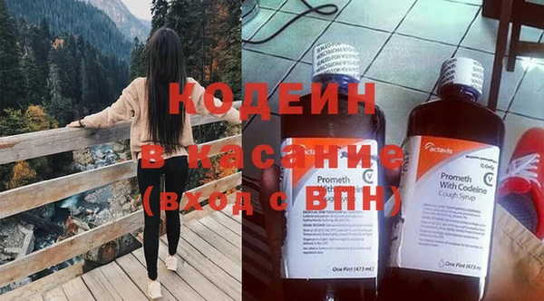 гидра Корсаков