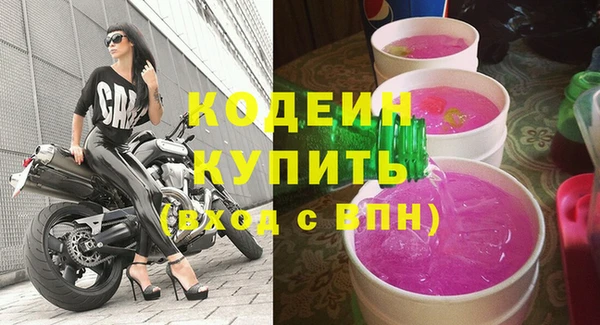 гидра Корсаков