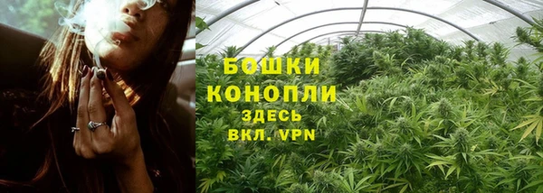 гидра Корсаков
