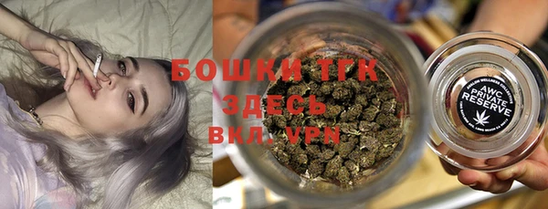 индика Кодинск