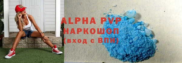 гидра Корсаков