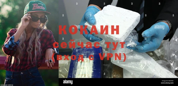 гидра Корсаков