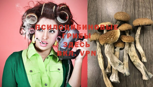 спайс Козельск