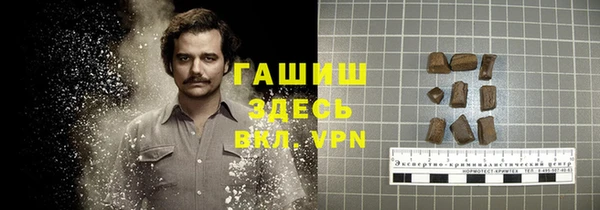 гидра Корсаков