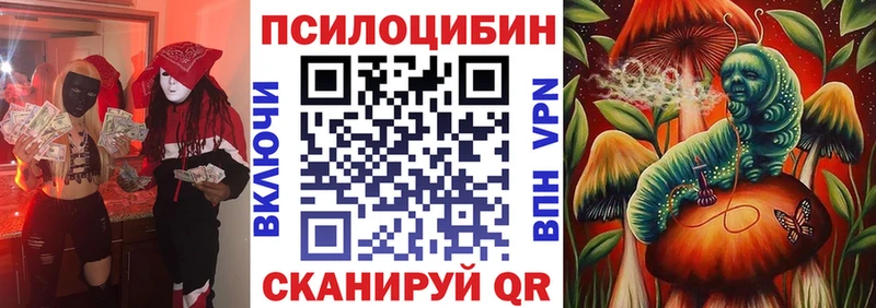 Псилоцибиновые грибы Psilocybe  где можно купить наркотик  Кировск 