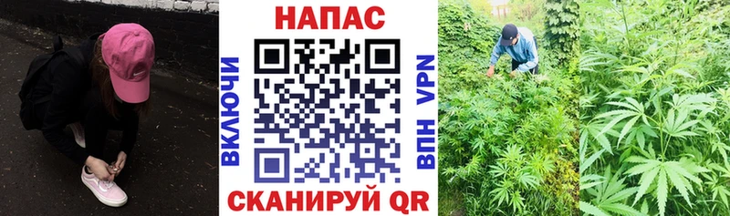 МАРИХУАНА тримм  Кировск 
